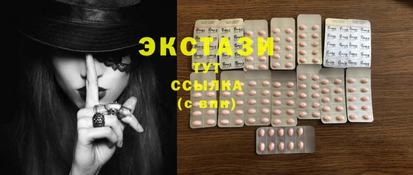стаф Алзамай
