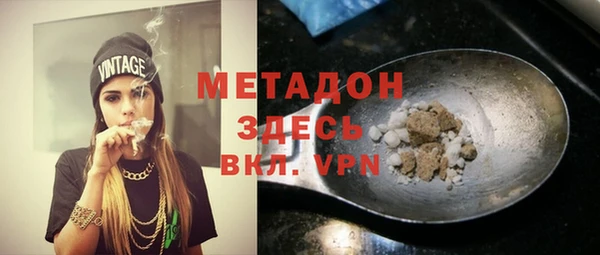 стаф Алзамай