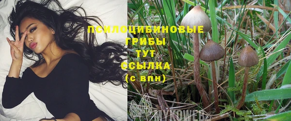 меф Алексеевка