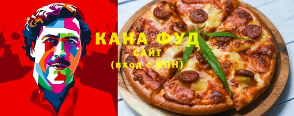 стаф Алзамай