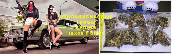 меф Алексин
